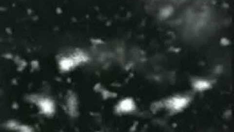 Coil Something (Live)