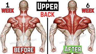 Transform Your Upper Back Best V-Taper Workout For Width