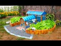 My dad diy bunny house and vegetable tubs together  cattle houses