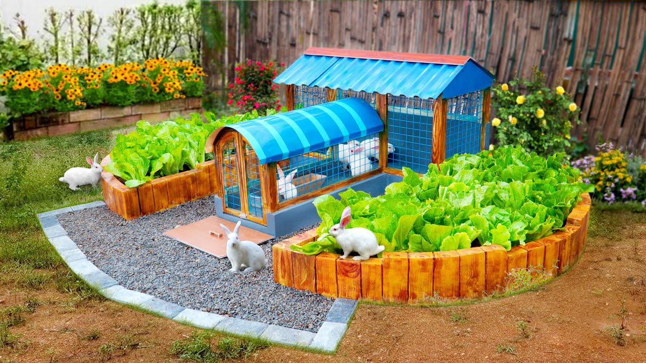 My dad DIY bunny house and vegetable tubs together | Cattle houses