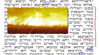 גמרא קלה - הכונס שיעור 5 - "דיני שמיים" חלק ג