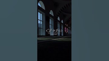 القارئ محمد طارق ، اكتب شيء تؤجر عليه #الصلاة #quran #محمد_طارق #اكسبلور #راحة_نفسية #استمع