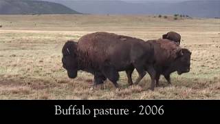 Timeless Philmont - DVD