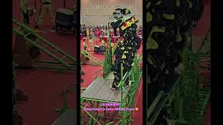 30th Ngee Ann City National Lion Dance Championships 2026 ~ Sheng Hong Lion Dance Athletes Troupe 🦁