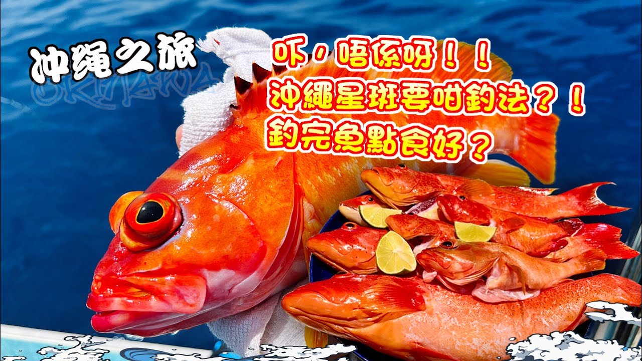 【漁人推介】沖繩之旅EP 3 阿火帶大家到沖繩釣魚，沖繩如何釣星斑？釣大魚先要釣三鬚？用什麼釣組？什麼魚餌？什麼釣具？民宿製作海鮮大餐，咁多星斑點食好？那種星斑比較好吃？每人50元的海鮮餐有什麼菜式？