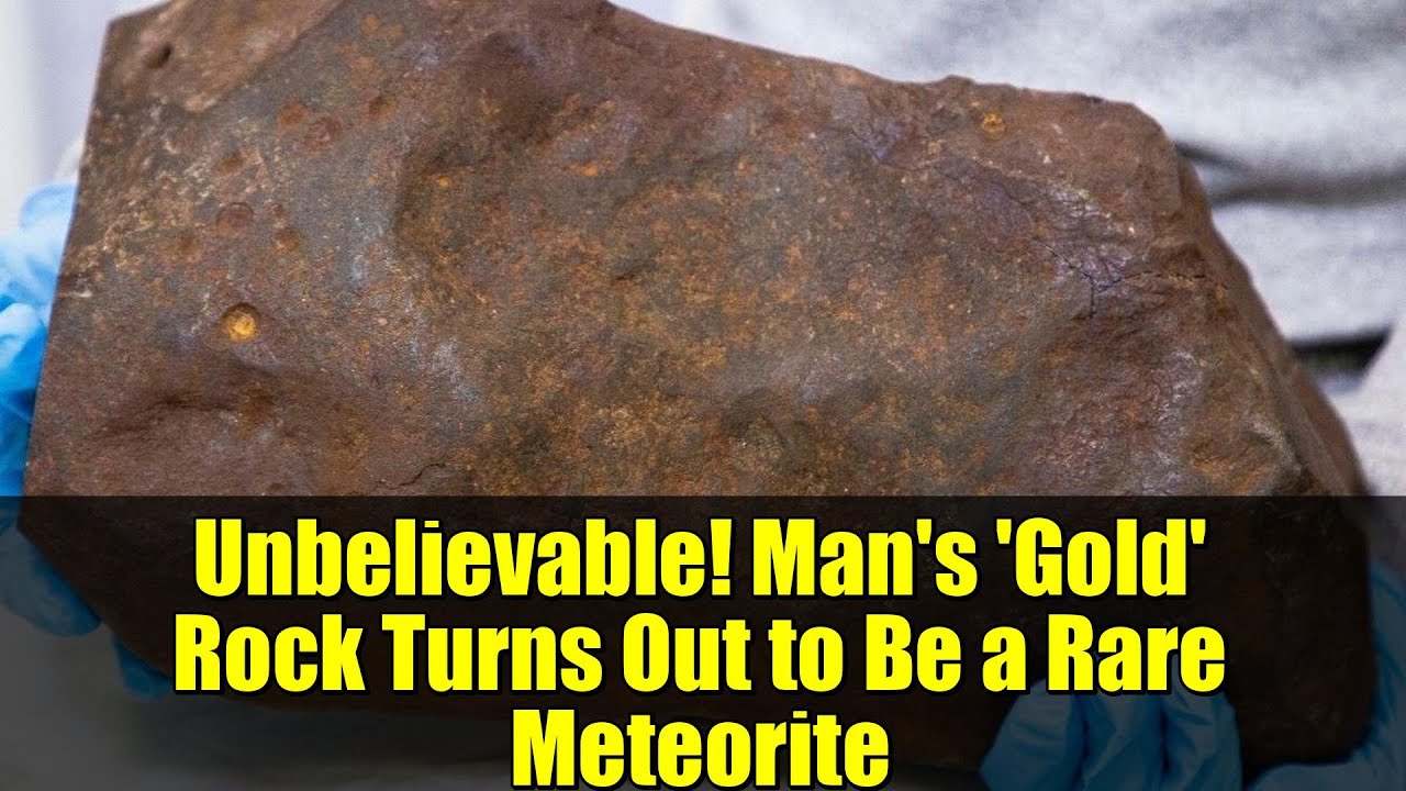 Невероятно! «Золотой» камень, найденный человеком, оказался редким метеоритом