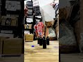 Day 8 of becoming successful in Shopify E Commerce