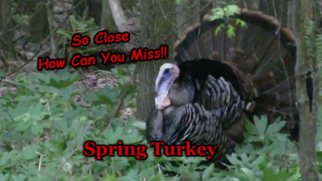Pennsylvania Spring Turkey Hunting YouTube
