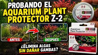 Probando el Aquarium Plant Protector Z-2 🧪 ¿Elimina algas sin matar gambas?