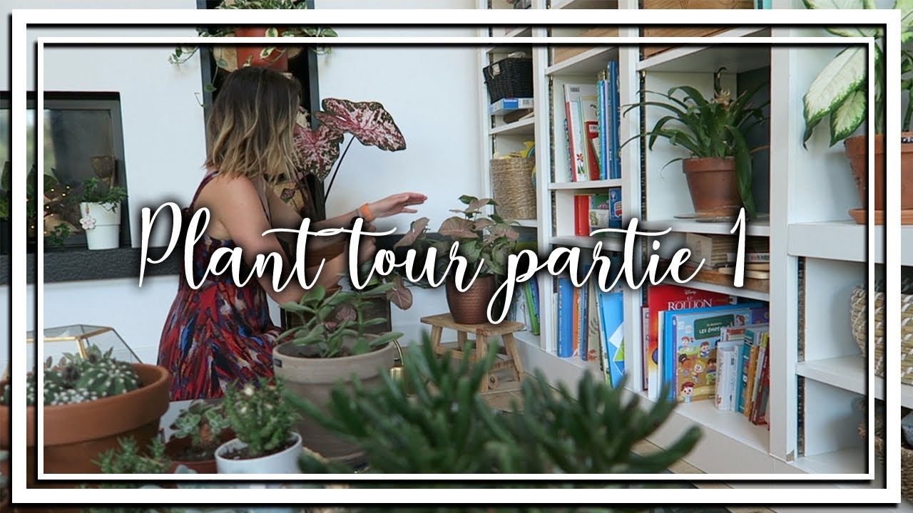 Ma collection de plantes et tour de la maison