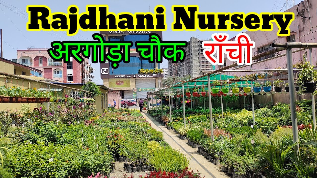 Rajdhani Nursery Ranchi l Argora Chowk Nursery l Nursery In Ranchi l