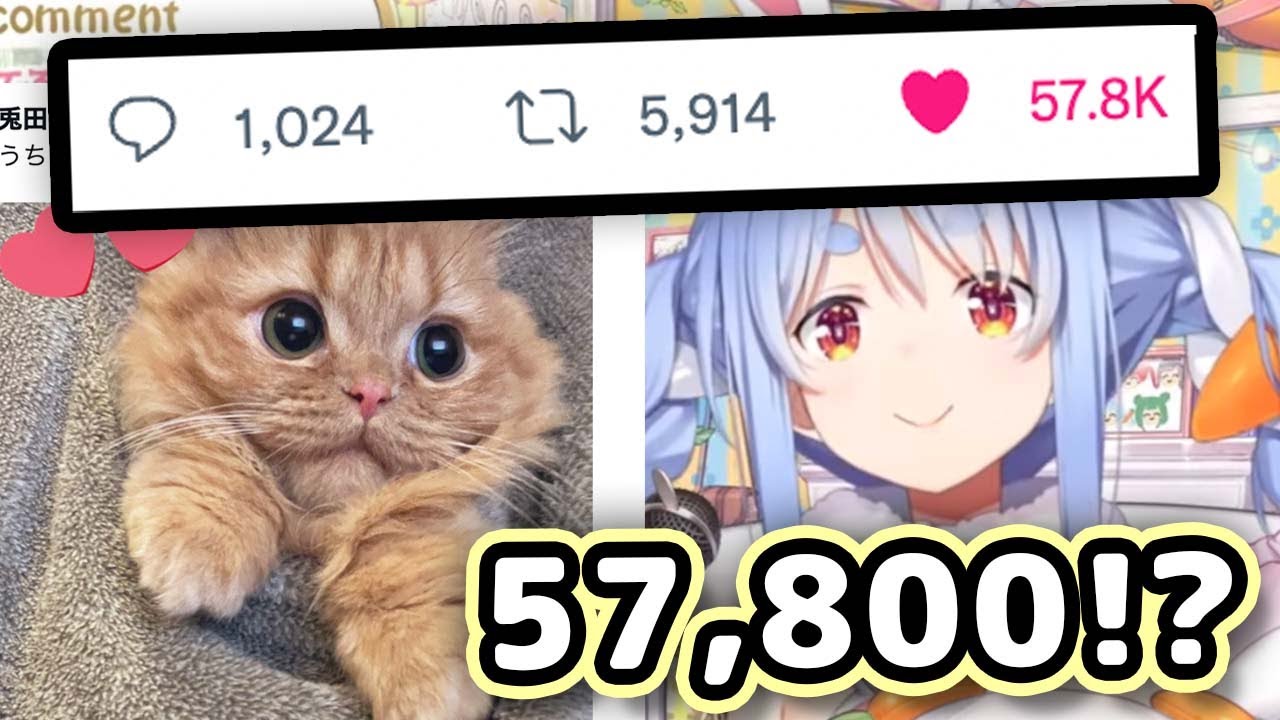 Pekora's Cat Got Over 50,000 Likes On Twitter 【ENG Sub/Hololive】