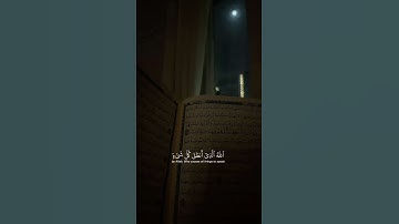 القران الكريم #اكسبلور #المراه #لايك #النظافه #راحة_نفسية #المراره #دويتو #البخل #duet #التغطيه