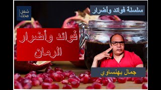 ما هي فوائد وأضرار الرمان، قناة شعل مخك، ، جمال بهنساوي