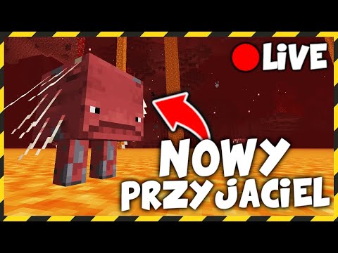 ZAPIS LIVE: Idziemy po NOWEGO PRZYJACIELA!  - FERAJNA XD  -  ZAPIS LIVE: Idziemy po NOWEGO PRZYJACIELA!  - FERAJNA XD 