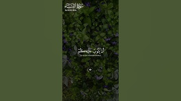 ما تيسر من #سورة_النساء ||حالات واتس قرآن ||القارئ#ياسر_الدوسري #تلاوة_هادئة