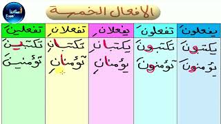 استاذ_حيدر /شرح موضوع الافعال الخمسة للصف السادس الابتدائي ?