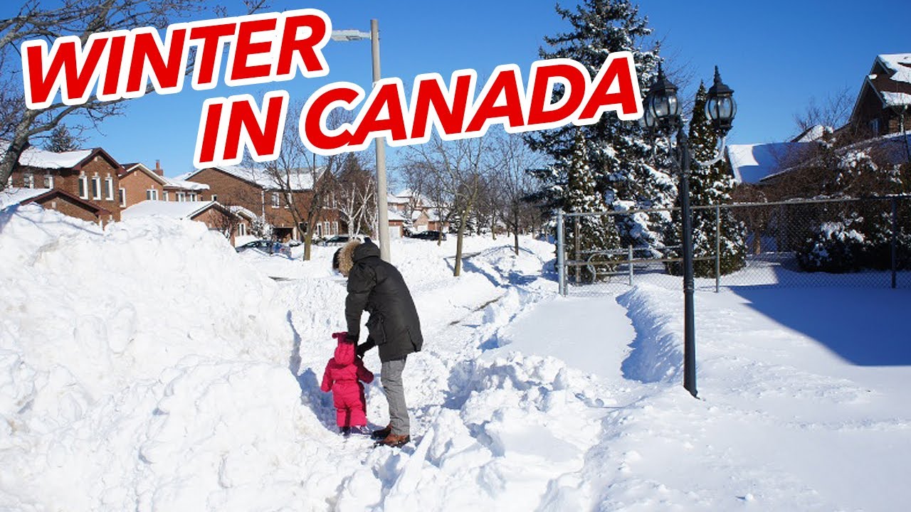How do Canadians live | How to Survive Winter in Canada - YouTube