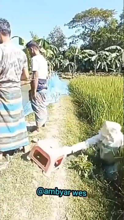 ngerjain orang mancing😂 ( official video lucu )