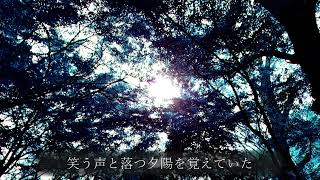 メタモルフォビア  / 初音ミク