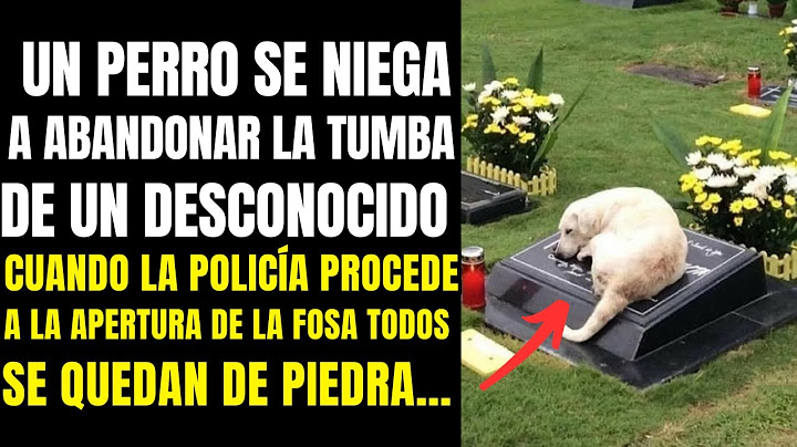UN PERRO SE NIEGA A ABANDONAR LA TUMBA DE UN DESCONOCIDO. PERO AL ABRIRLA... Historia de Vida Real