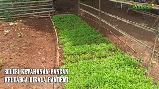 KETAHANAN PANGAN INDONESIA