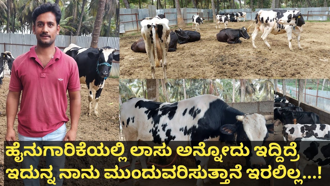 ಹೈನುಗಾರಿಕೆಯಲ್ಲಿ ಬದುಕನ್ನು ಕಟ್ಟಿಕೊಳ್ಳಬೇಕು ಎಂಬ ಹಠ ವಿದ್ದರೆ ಮಾತ್ರ ಹೈನುಗಾರಿಕೆ ಸಾಧ್ಯ, ಮೊದಮೊದಲಿಗೆ ಹೈನುಗಾರಿಕೆ