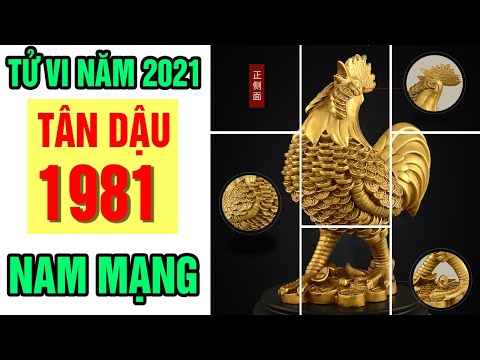 Video Tử Vi Tuổi Tân Dậu 1981 Nam Mạng Năm 2021 Bất Ngờ Được... - youtube