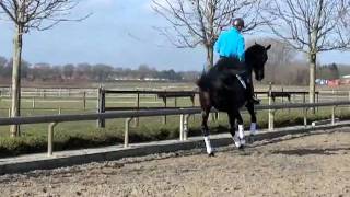 20110216 Goldiva 1.MOV