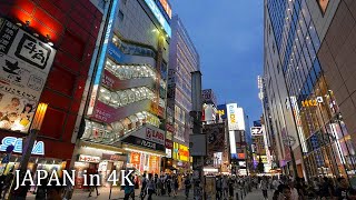 4K・ Japan  Night videowalk in Akihabara, Tokyo・4K