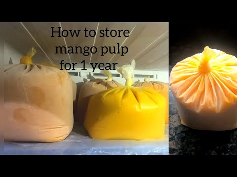 How to store mango pulp for long time in freezer/Without preservative /crispy foods