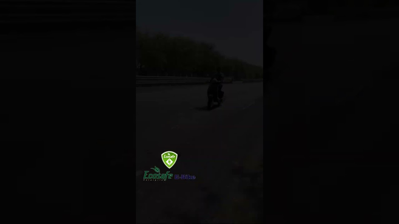 Ecosafe E-Bike.                 At-Lathidad, Botad, Gujarat, 364710