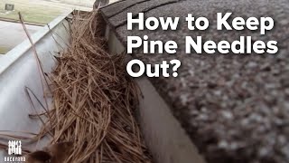 How to Keep Pine Needles Out of Gutters (FINALLY)