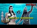 HEBAT!! DEWI NAWANGWULAN VS PANGUWOSO SEGORO - Nyi Roro Kidul Eps 3 PART 1