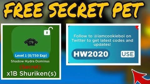 *NEW UPDATE* NINJA CLICKER SIMULATOR FREE SECRET PET FROM CODE !!! (ROBLOX)