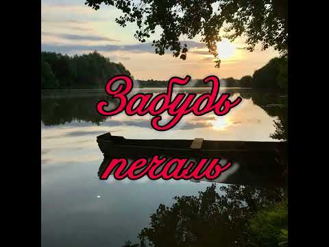 Забудь печаль Dyadyavanya Cover Володимир Сохта Василь Зінкевич