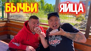 картинка: ГОТОВИМ ПЬЯНЫЕ БЫЧЬИ ЯЙЦА / СПЕЦИФИЧЕСКИЙ ДЕЛИКАТЕС