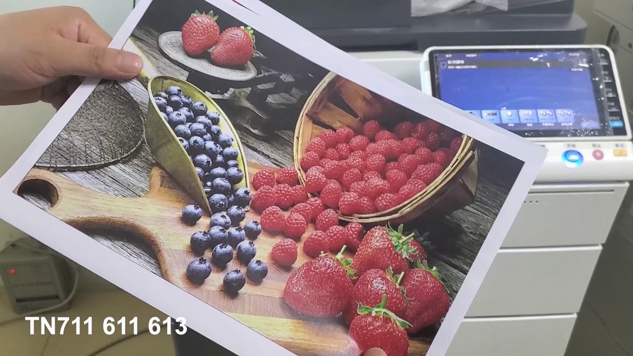 Minolta TN611 TN711 TN613 | China Compatible Toner Cartridge Manufacturer & Supplier