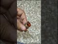اقوى الخواتم الروحانيه