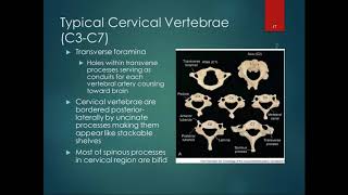 Chapter 8 Lecture Part 2 Osteology of Vertebrae