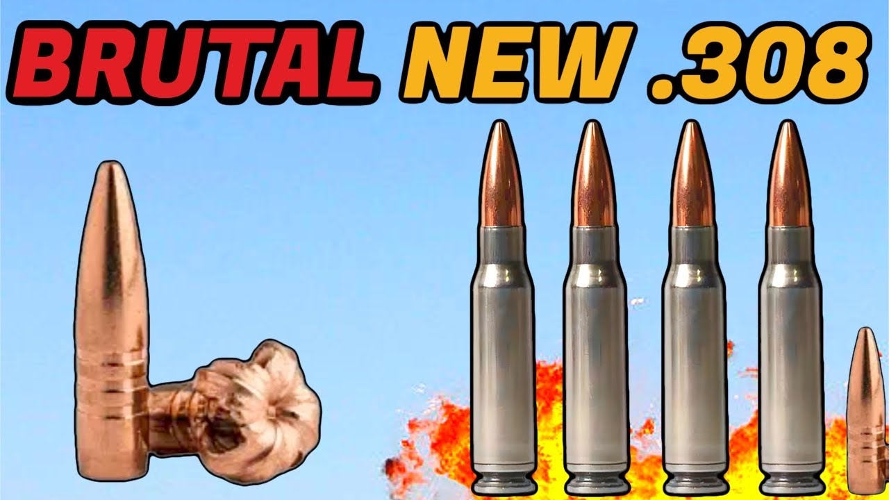 Силы специального назначения США проводят испытания — Shell Shock .308