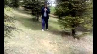 Ali Osman Kayhan - Söğüt Dalı