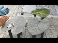 DIY😍Make a small cement chair😍Làm cái ghế nhỏ bằng xi măng😍19 6 19