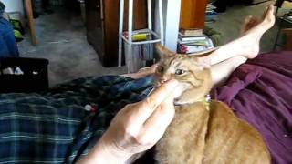 MVI_1166.AVI