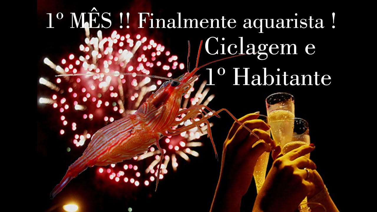 Aquário Marinho- Sem Grana- Ciclagem , 1º Habitante , START INICIAL !