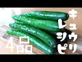 【きゅうりレシピ4品】ご飯のおともにぴったりの4品！超簡単！