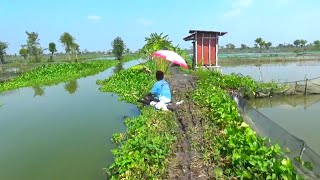 Download Lagu REZEKINYA BAPAK INI DILUAR NALAR! MANCING DISINI BAYAR 20 RIBU AJA PANEN IKAN BABON BABON MP3 Download Lagu REZEKINYA BAPAK INI DILUAR NALAR! MANCING DISINI BAYAR 20 RIBU AJA PANEN IKAN BABON BABON MP3