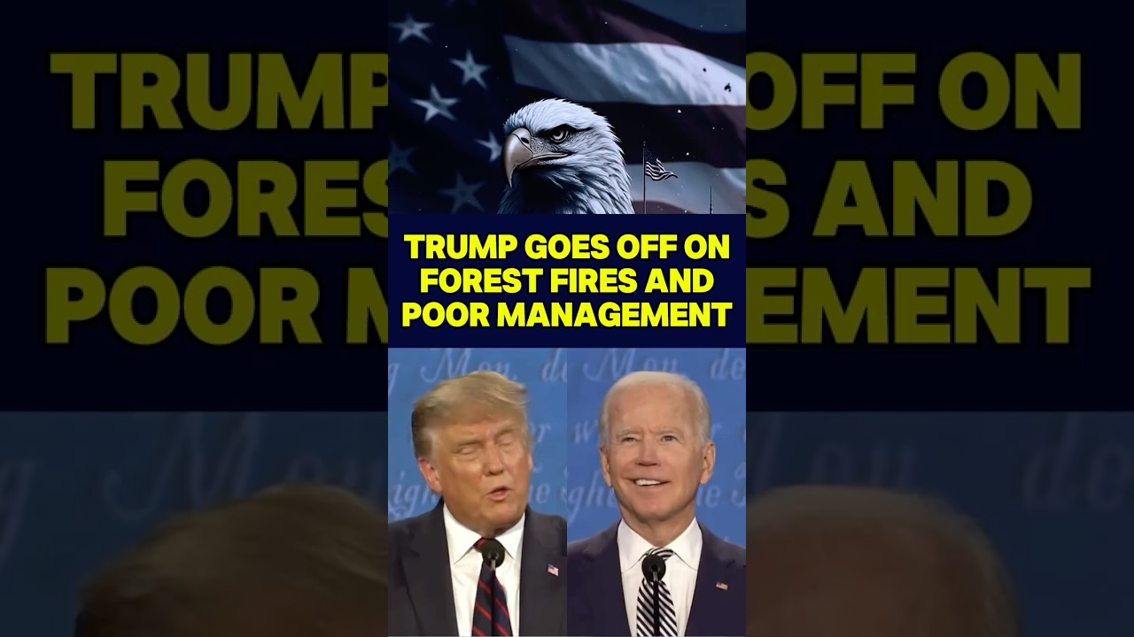Trump GOES OFF on Forest Fires And Poor Management  