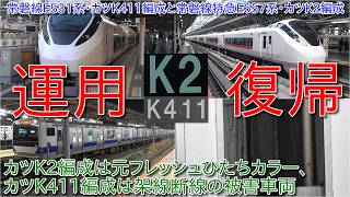 【常磐線E657系カツK2編成とE531系カツK411編成運用復帰、カツK2編成は通常塗装に戻る一方でカツK411編成は架線断線の被害車両だった】山手線E235系復刻ラッピング終了