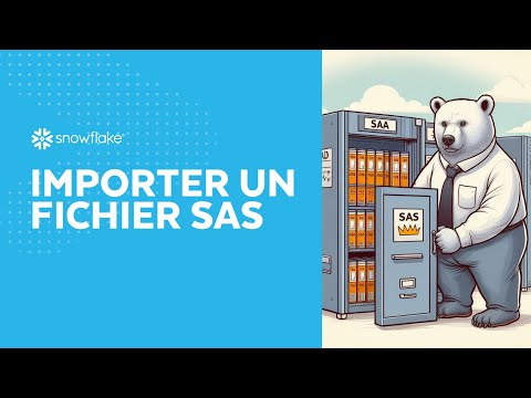 Importer un fichier SAS en python